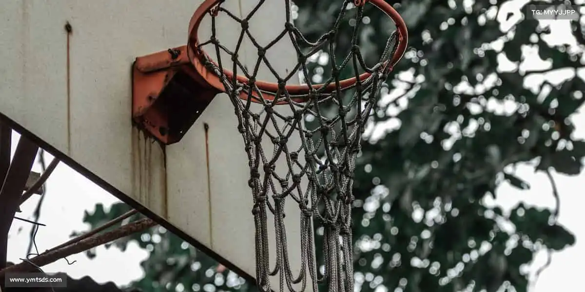 为什么选择我们